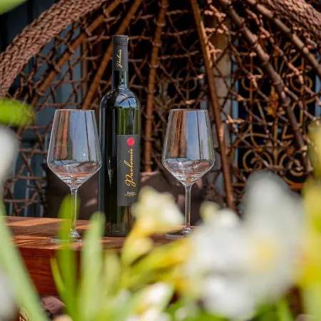 Deluxe Bellissima By Interhome Crikvenica